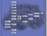 NavB.gif (9421 bytes)